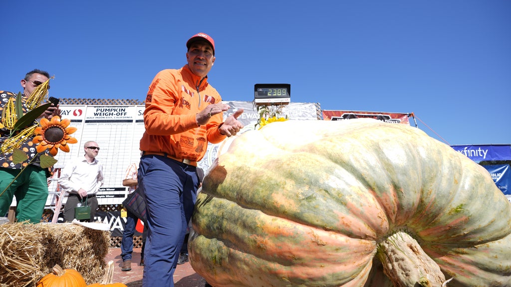 Minnesota man drives hauls giant pumpkin over 2,000 miles to California competition — CBS Bay Area (KPIX), Healdsburg Community news