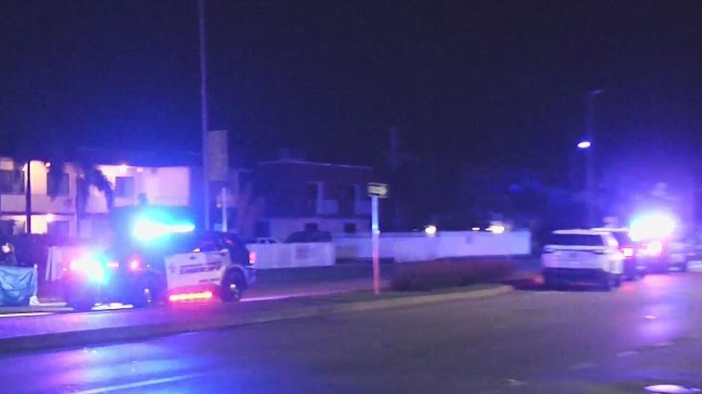 Woman accused of killing man in Dania Beach hit-and-run, BSO says — CBS Miami, Healdsburg Community news
