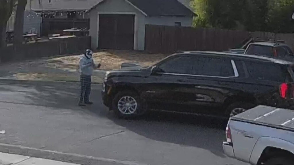 Woodland police dispute DHS account of ICE agent's collision with pedestrian — CBS Bay Area (KPIX), Healdsburg Health news