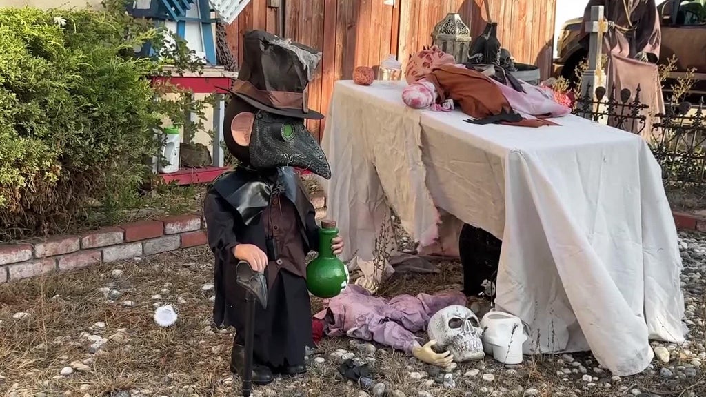 Halloween decorations worth roughly $700 stolen from San Leandro home — CBS Bay Area (KPIX), Healdsburg Schools news