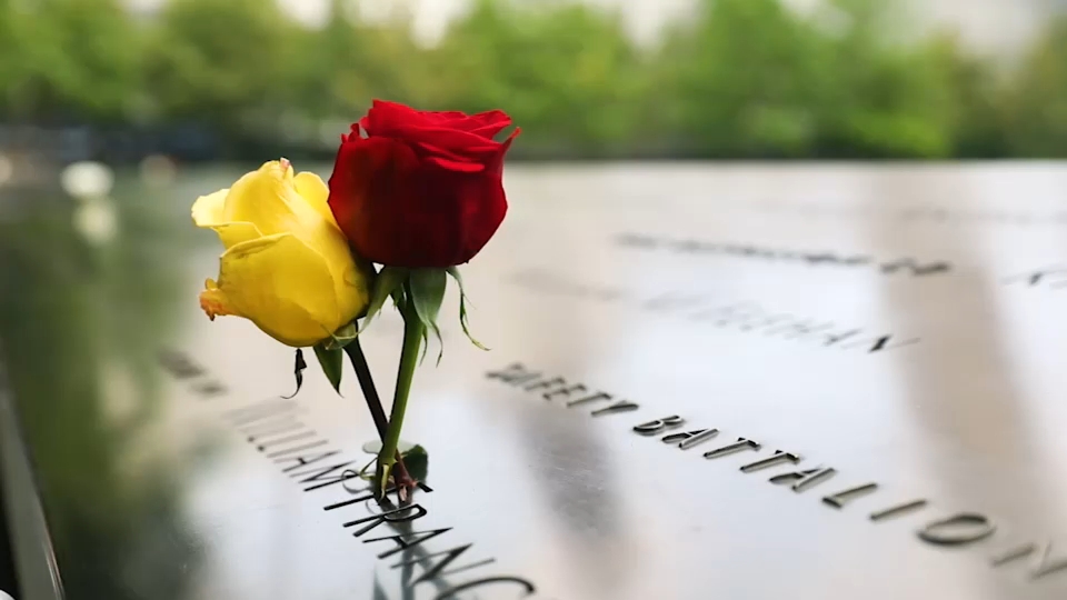 Second 9/11 victim identified with breakthrough genetic genealogy, NYC officials say
       — ABC 7 Bay Area, Healdsburg Community news