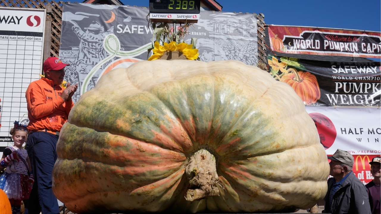 A giant pumpkin named Rocky gives a champion grower his California comeback
— ABC 7 Bay Area, Healdsburg Schools news
