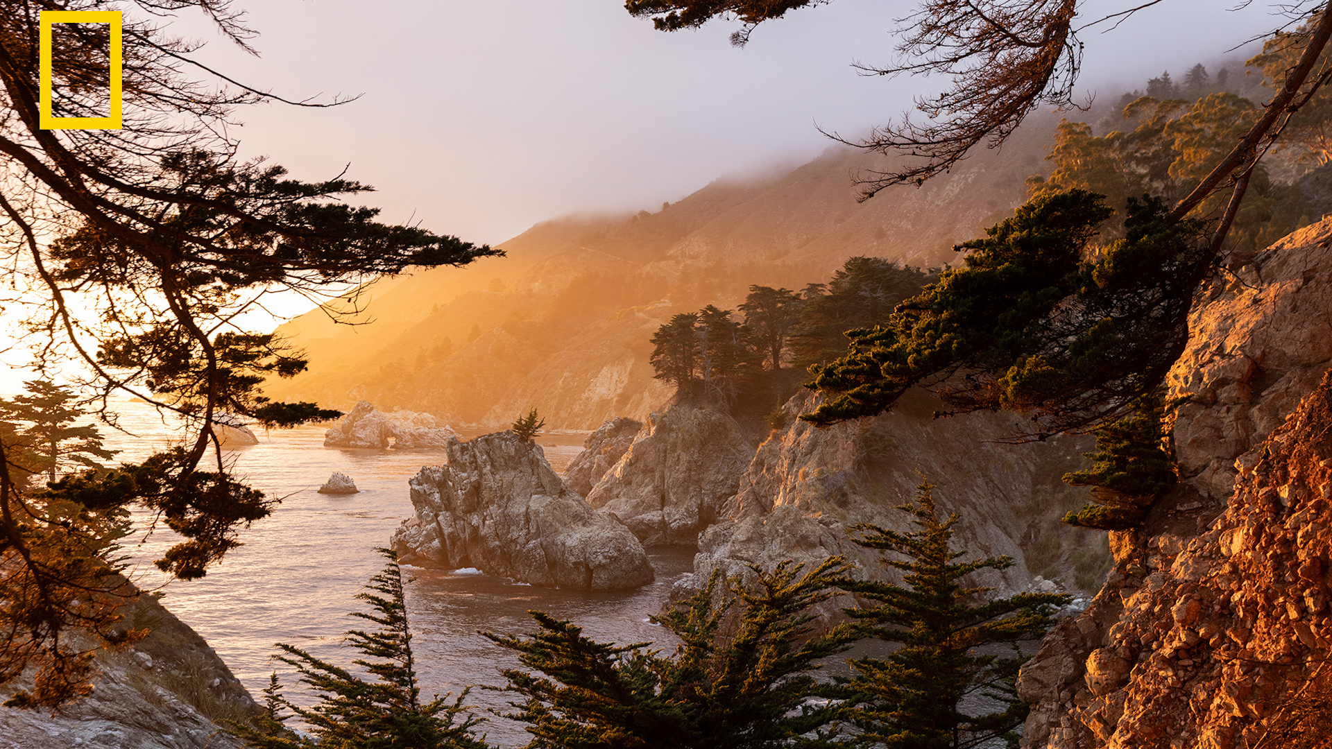 USA destinations included in National Geographic's best places in the world to visit in 2027
— ABC 7 Bay Area, Healdsburg Community news