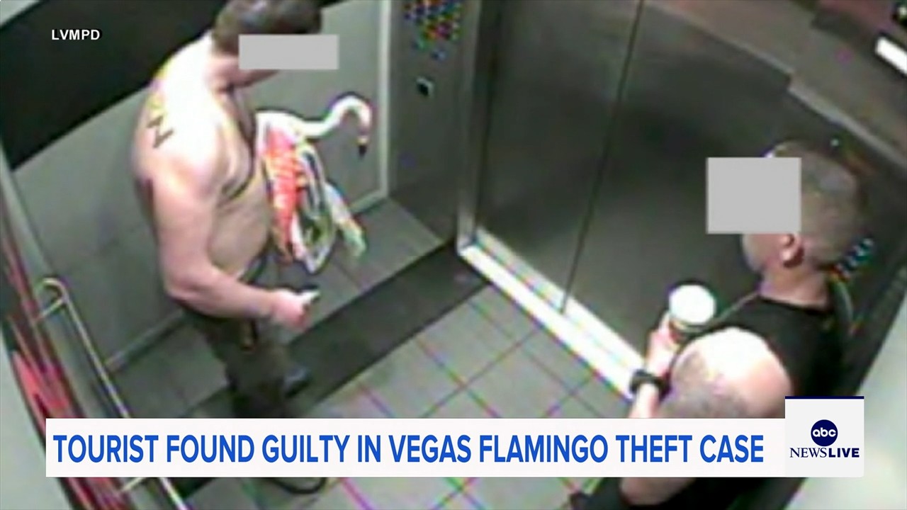Man who snatched Peachy the flamingo from Las Vegas hotel exhibit found guilty of animal cruelty
— ABC 7 Bay Area, Healdsburg Arts news
