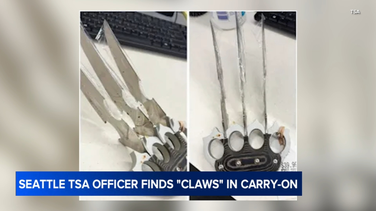 'Wolverine-style claws' discovered in carry-on bag at Seattle airport security: TSA
       — Healdsburg Community news
