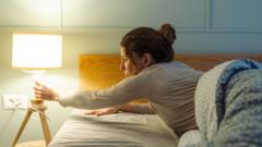 Lights will stay on this winter, grid operator says after concerns — BBC Business, Healdsburg Business news