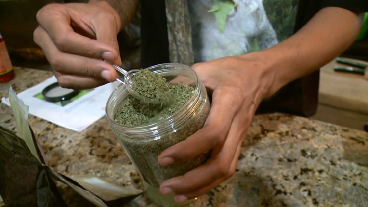 Hillsborough County considers restrictions on kratom products as families describe losing loved ones — WTSP 10 Tampa Bay, Healdsburg Government news