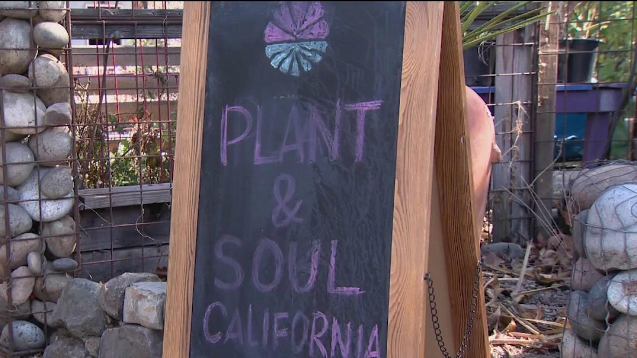 San Jose community garden faces possible eviction — KTVU FOX 2 Bay Area, Healdsburg Schools news