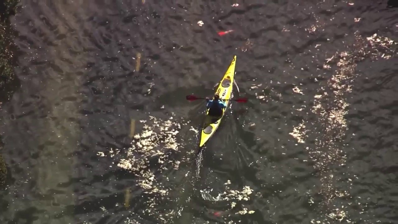 Kayaker glides through Mill Valley floodwaters — KTVU FOX 2 Bay Area