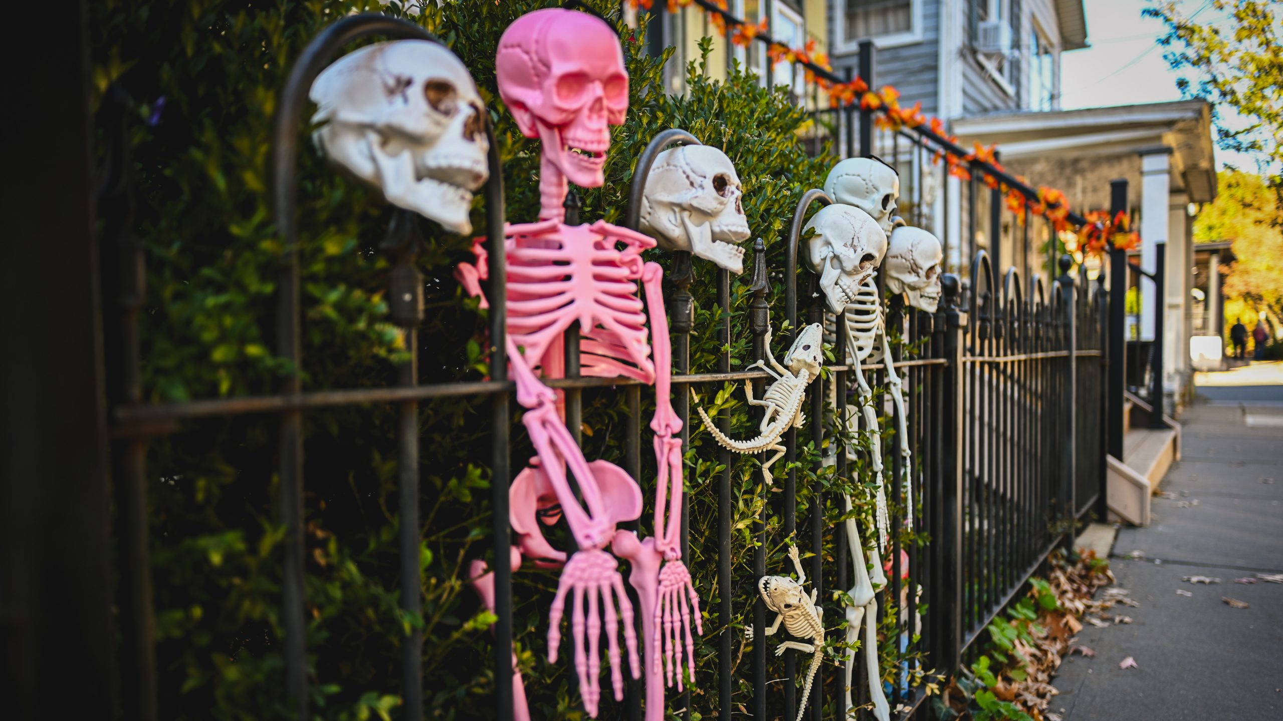 America's best cities for Halloween, ranked — KTVU FOX 2 Bay Area, Healdsburg Community news